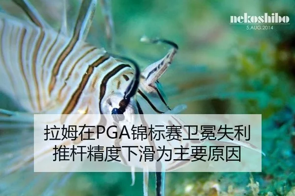 拉姆在PGA锦标赛卫冕失利 推杆精度下滑为主要原因