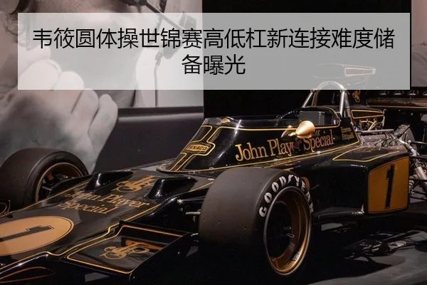 韦筱圆体操世锦赛高低杠新连接难度储备曝光