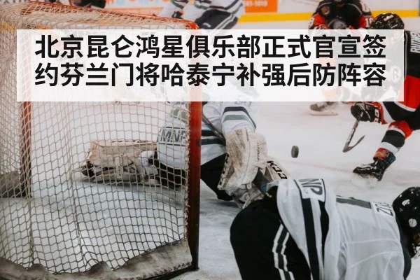 ice hockey goalie save