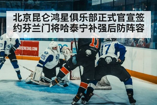 ice hockey defense