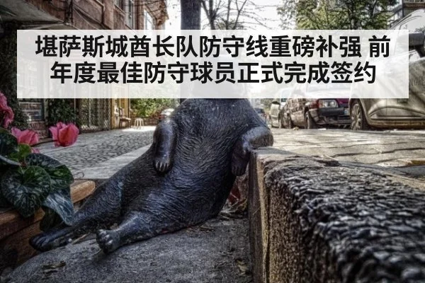 堪萨斯城酋长队防守线重磅补强 前年度最佳防守球员正式完成签约