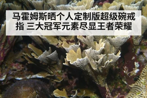 马霍姆斯晒个人定制版超级碗戒指 三大冠军元素尽显王者荣耀